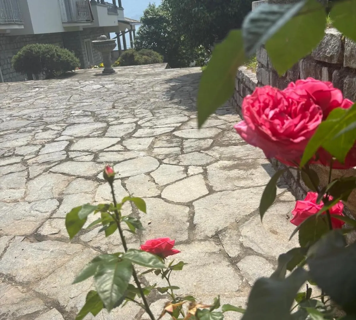 Apartamento Rosa Del Lago Gravedona
